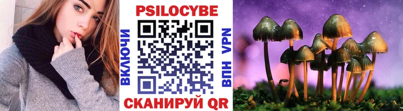 ОМГ ОМГ зеркало  Спасск-Дальний  Галлюциногенные грибы Cubensis 